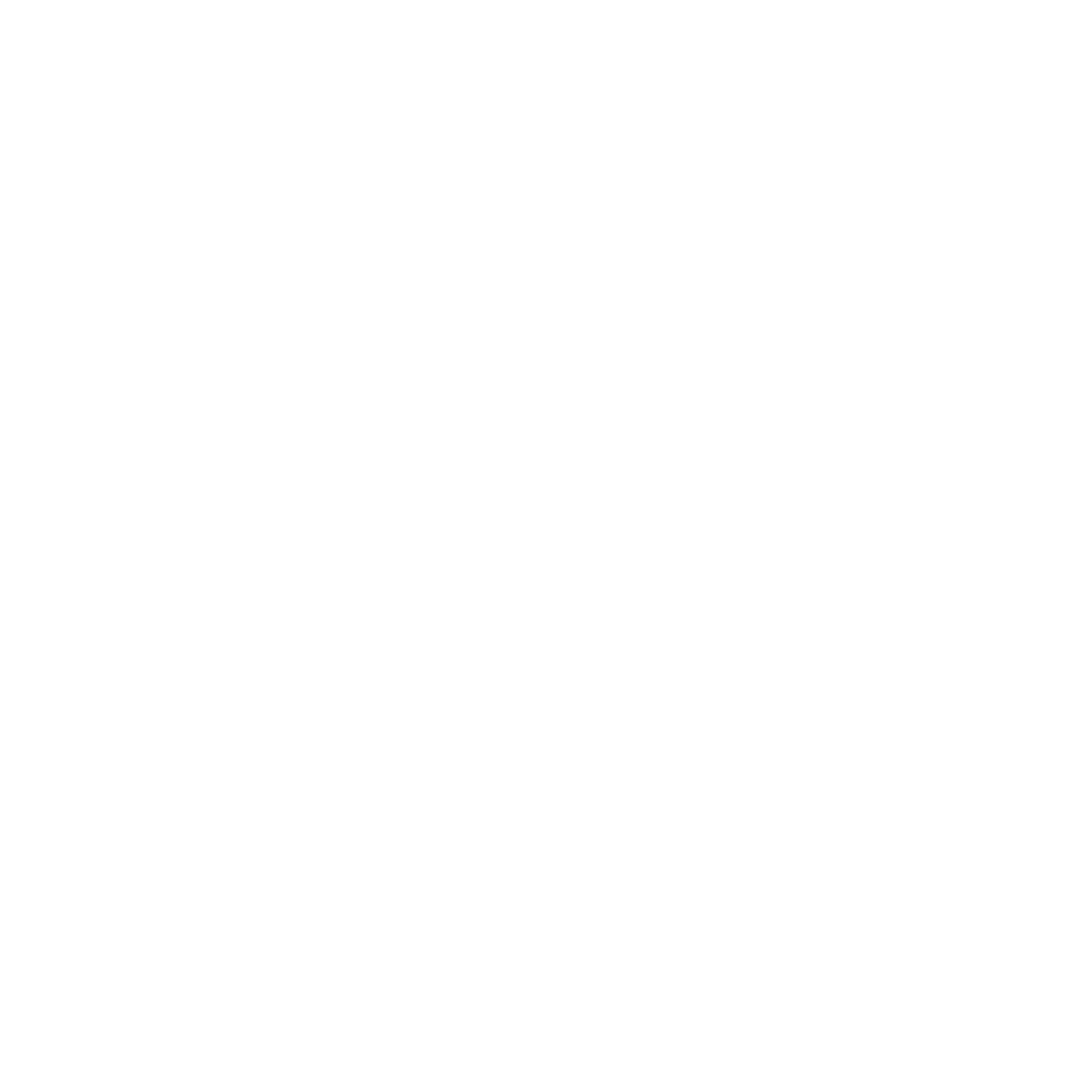 Nestor Puri